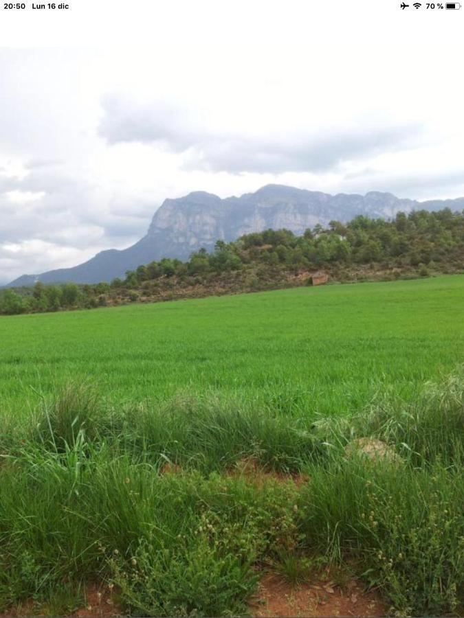 Vistas A La Montana En Un Pueblo Con Encanto. El Pueyo de Araguás Eksteriør bilde