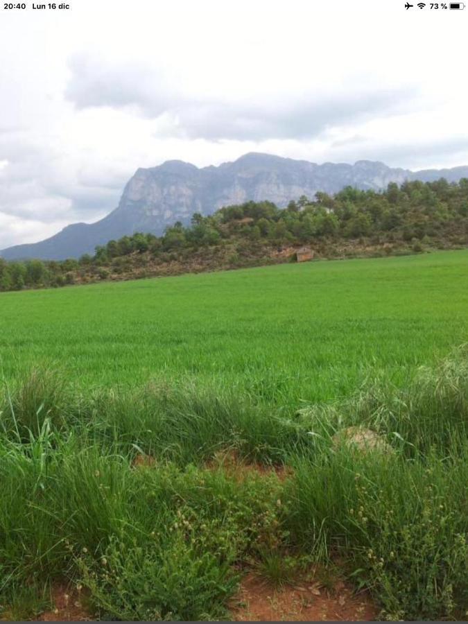 Vistas A La Montana En Un Pueblo Con Encanto. El Pueyo de Araguás Eksteriør bilde